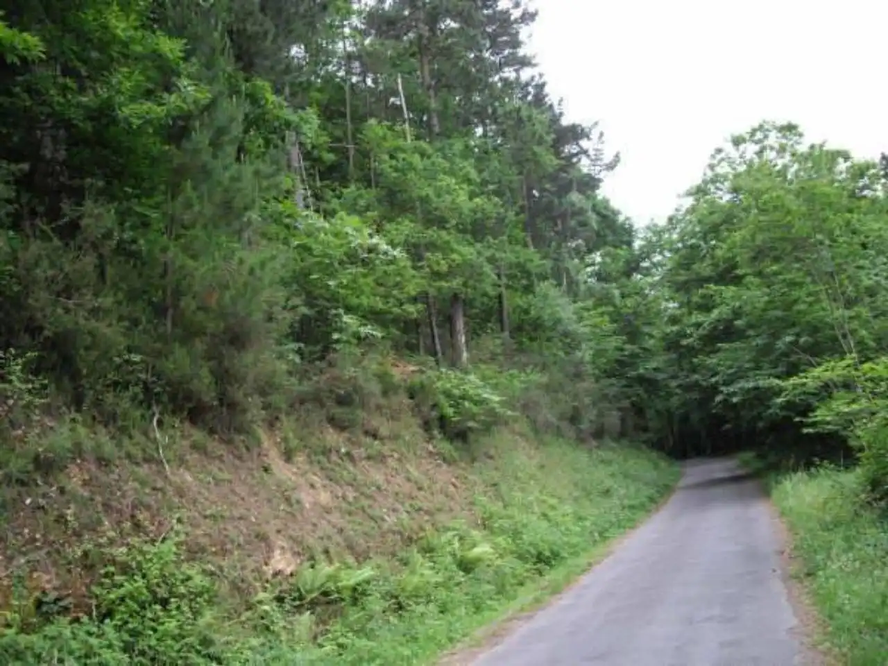 Terreny rústic en venda a Valdés - Luarca, imagen 8
