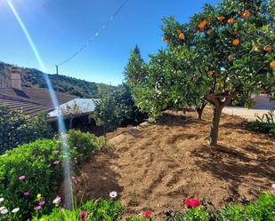 Jardí de Finca rústica en venda en Málaga Capital amb Terrassa i Piscina