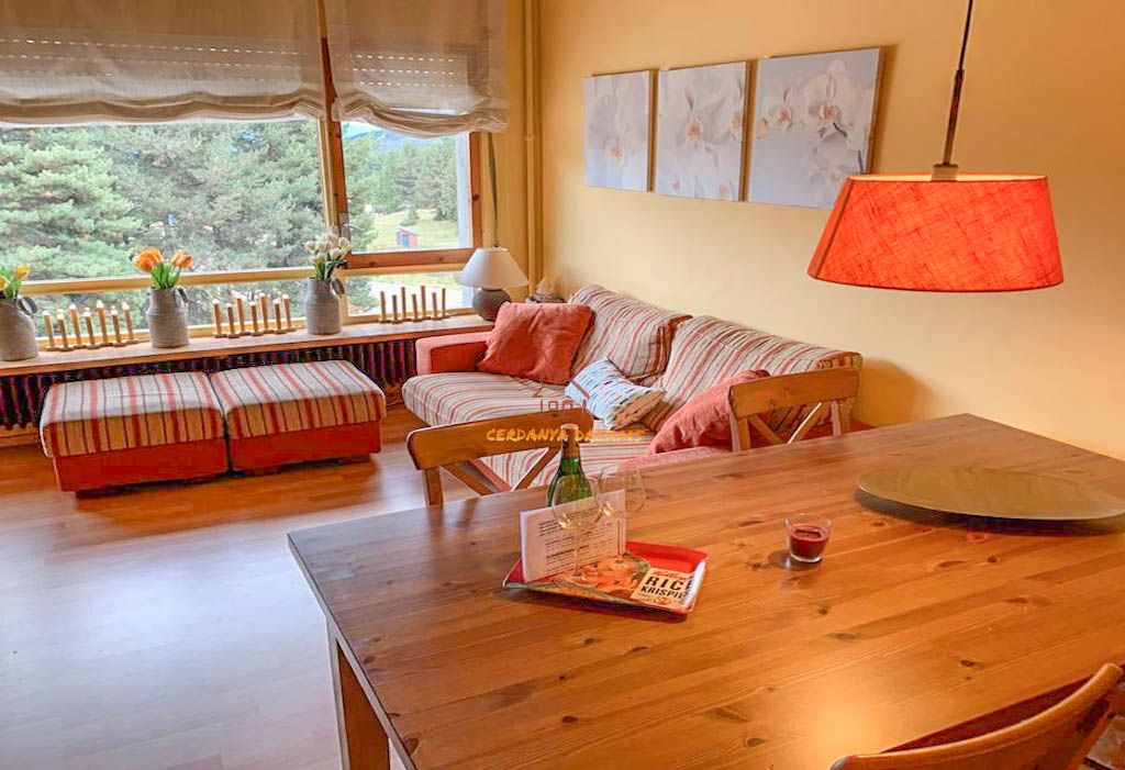 Sala d'estar de Dúplex en venda en Alp amb Calefacció, Parquet i Traster