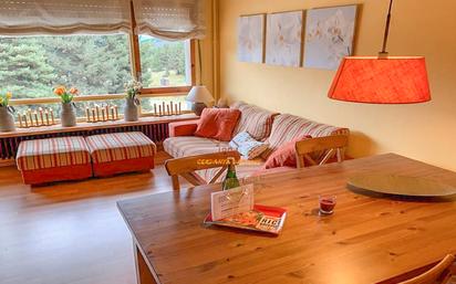 Sala d'estar de Dúplex en venda en Alp amb Calefacció, Parquet i Traster