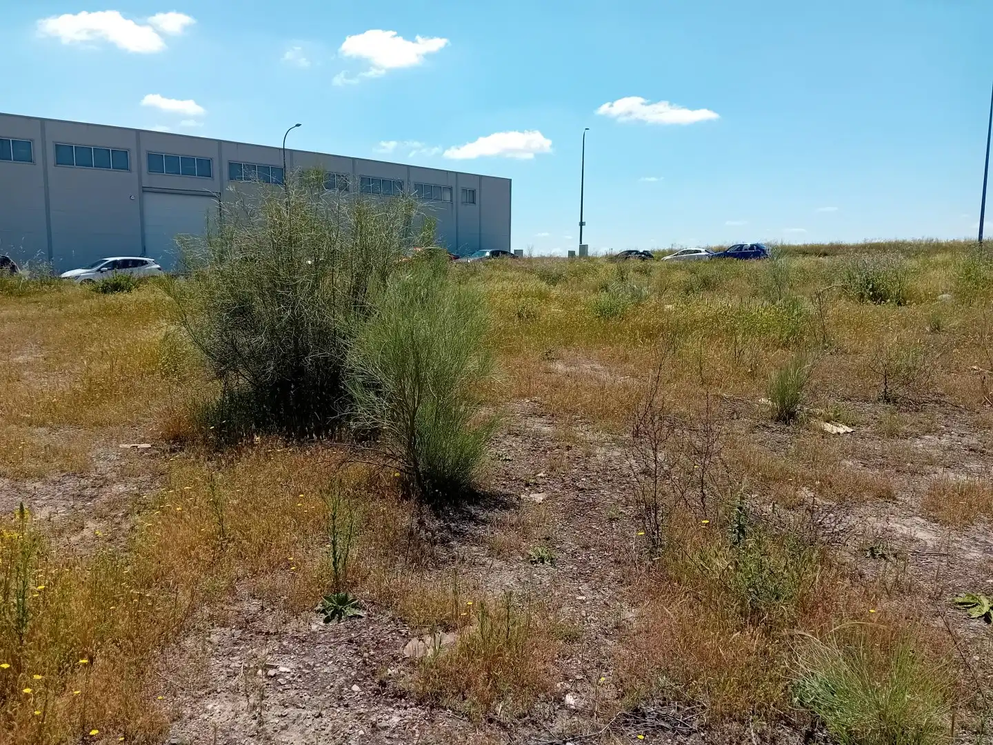 Residencial en venta en Almagro