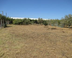 Residencial en venda en Conil de la Frontera