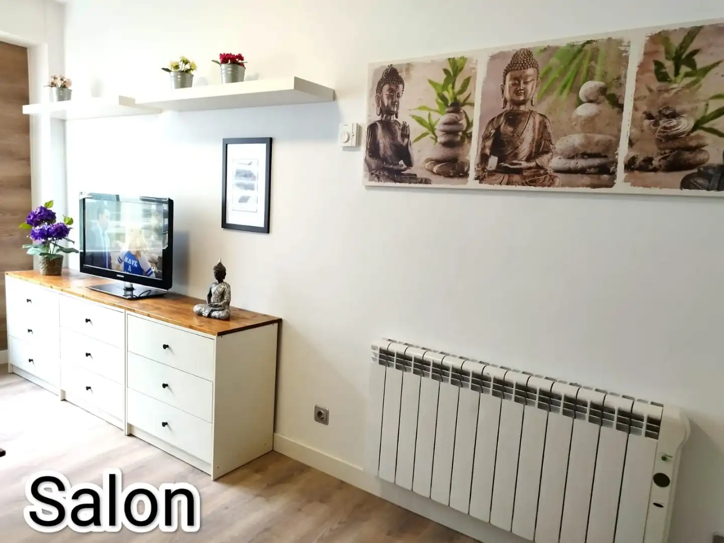 Living room of Flat for rent in A Coruña Capital 