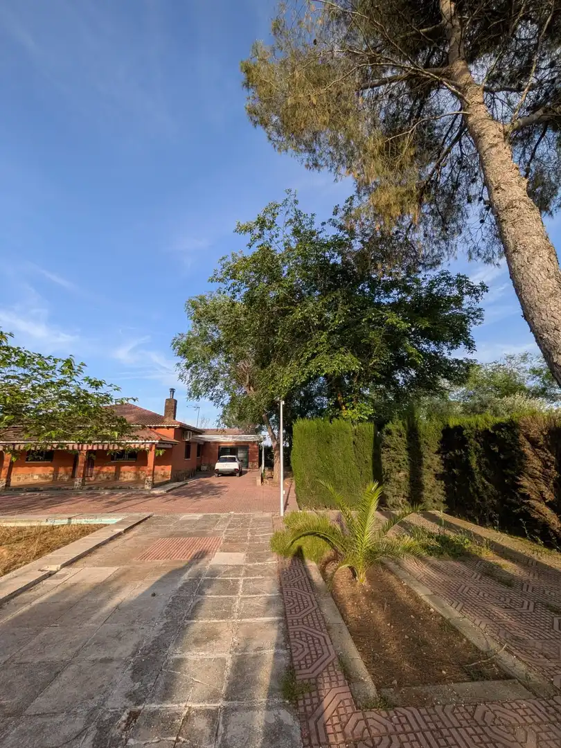 Vista exterior de Finca rústica en venta en Miguelturra con Aire acondicionado, Calefacción y Jardín privado