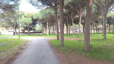 Foto 4 de Terreno en venta en Camino del Granado, 23, Las Lagunas - Campano, Cádiz