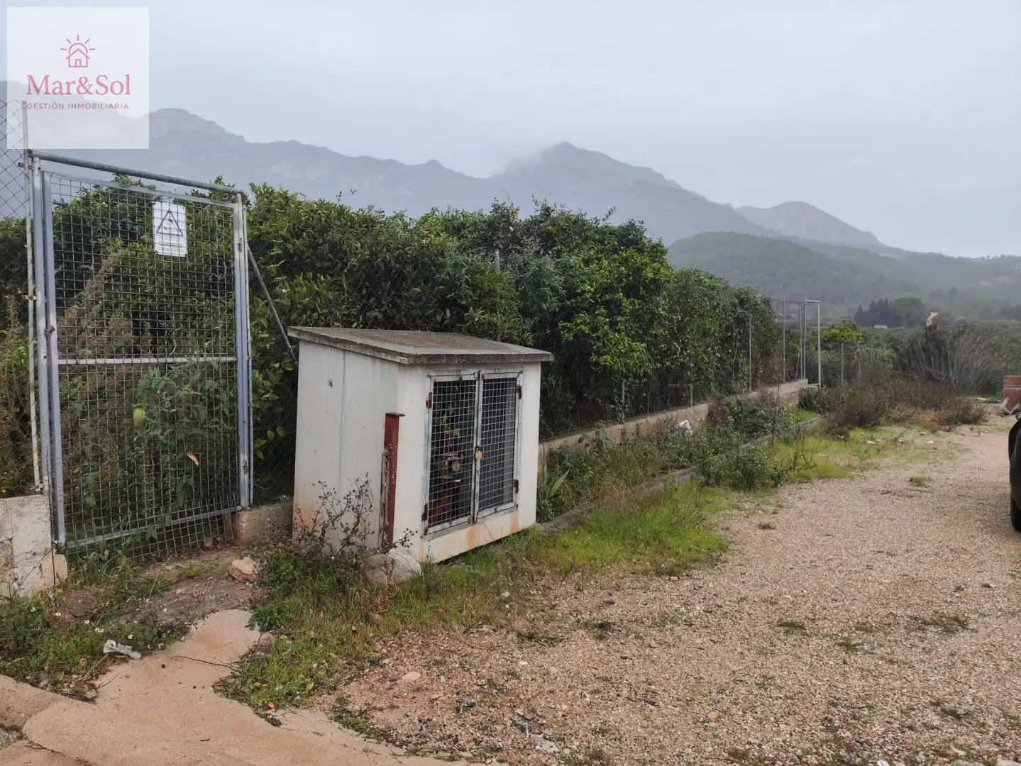Terreny rústic en venda a Llaurí, imagen 5