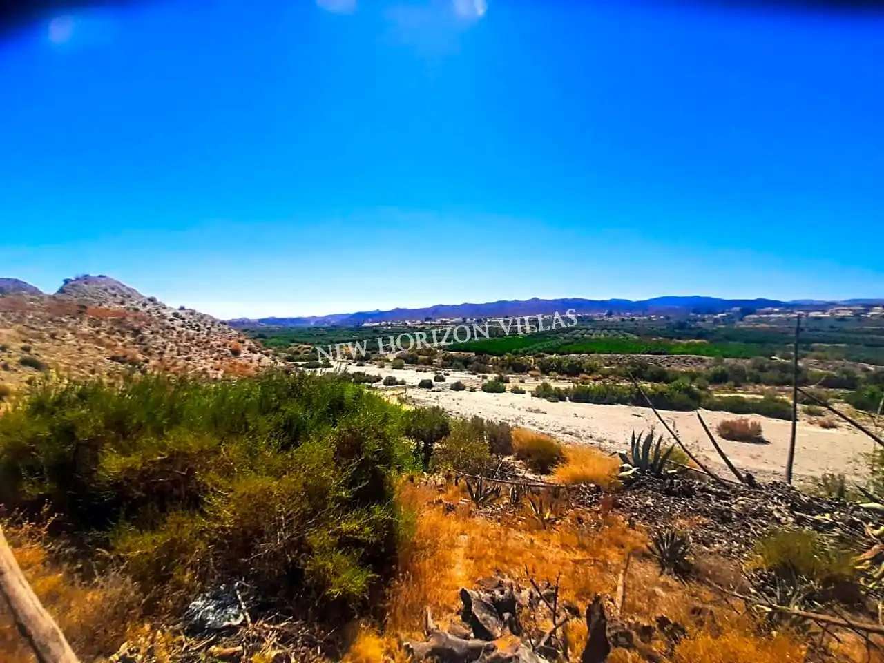 Vista exterior de Finca rústica en venta en Arboleas