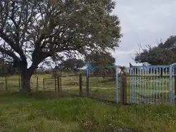 Terreno rustico in vendita a N/A, imagen 2