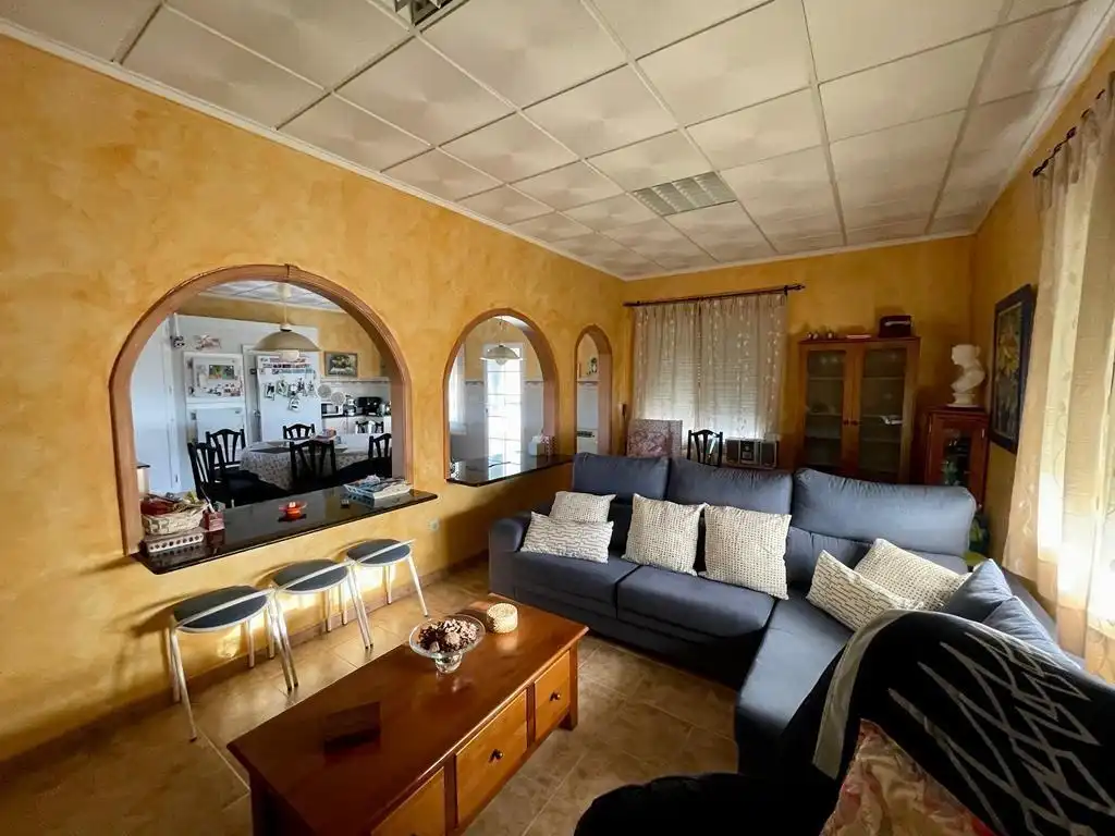Sala d'estar de Casa o xalet en venda en Albatera amb Aire condicionat, Calefacció i Jardí privat