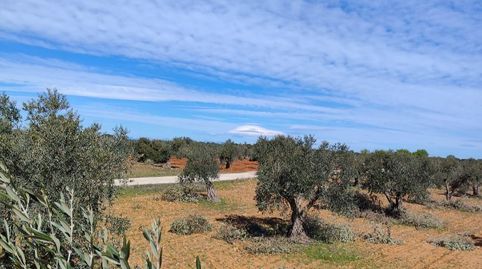 Foto 4 von Grundstücke zum Verkauf in Carretera de Valdilecha, 39, El Mirador - Grillero, Arganda del Rey