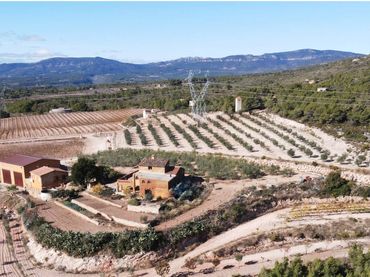 Terreny rústic en venda a Perafort