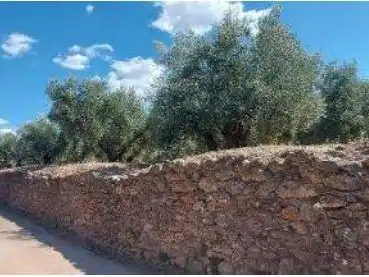 Land for sale in Beas de Segura, Jaén