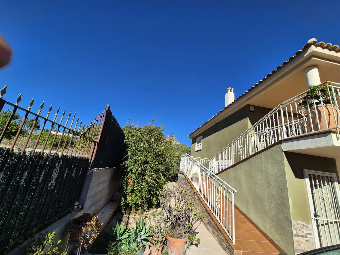 Jardí de Casa o xalet en venda en Albudeite amb Jardí privat, Terrassa i Moblat