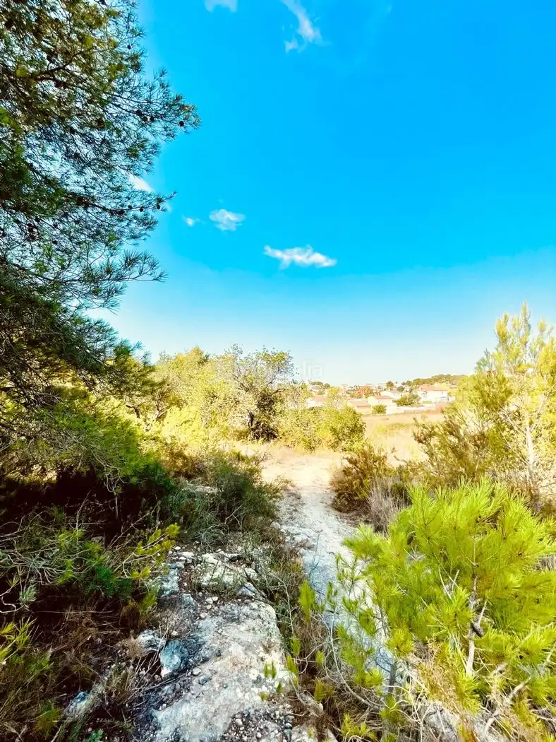 Rural land for sale in Calle Piscina 3305, imagen 12