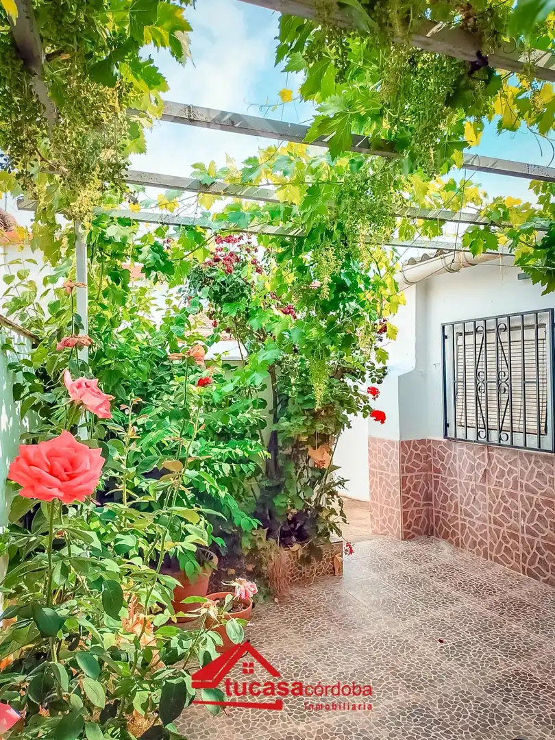 Maison à vendre à Fuente Obejuna, imagen 23