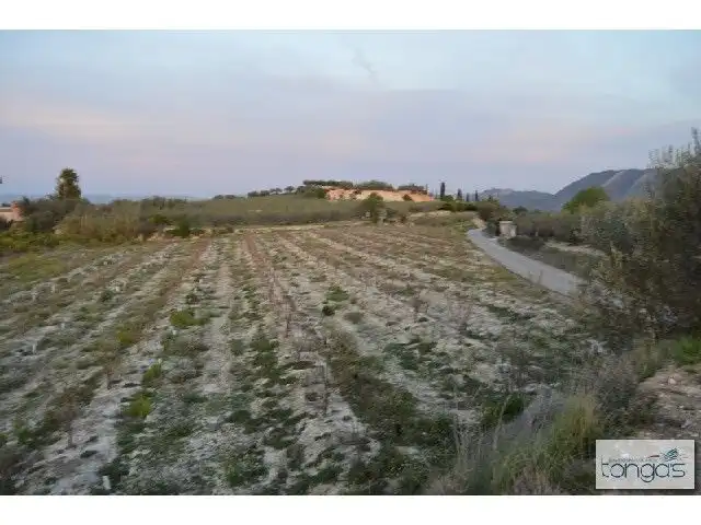 Terreny rústic en venda a Llanera de Ranes, imagen 7