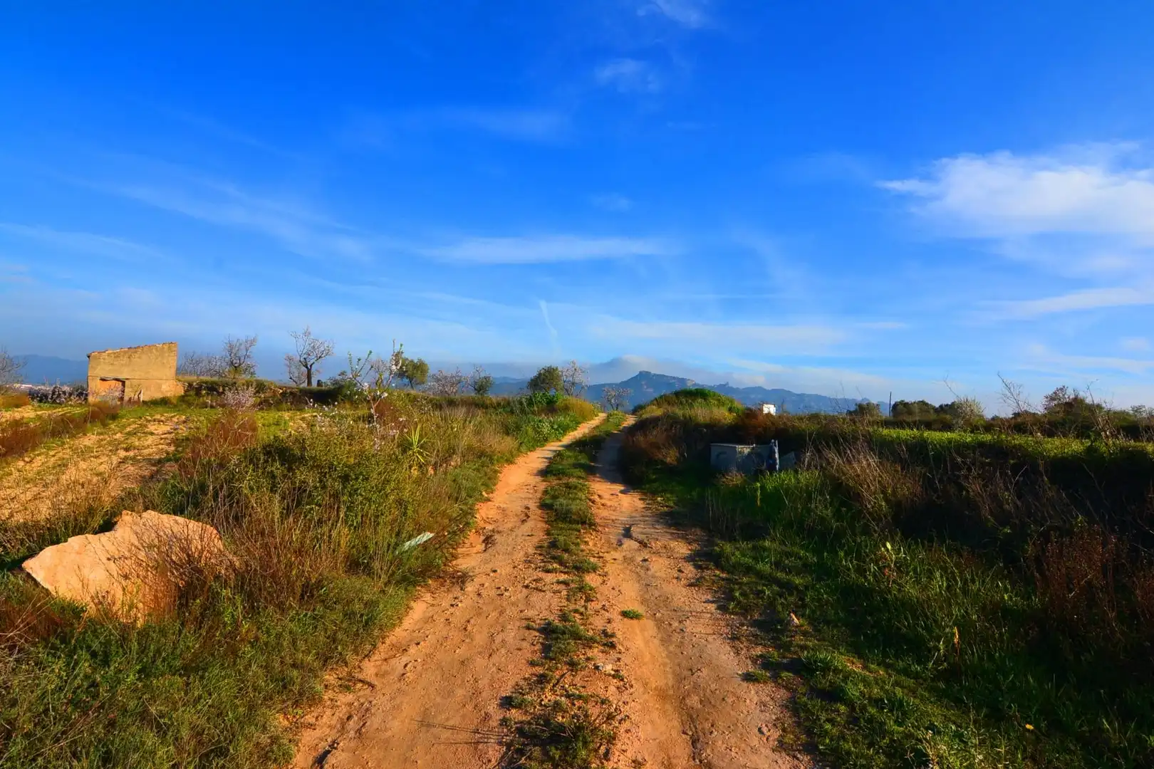 Rural land for sale in Gandesa, imagen 6
