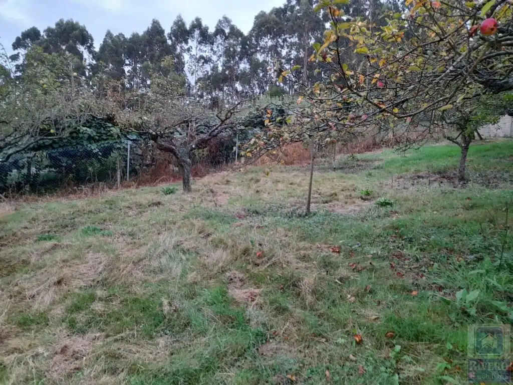 Wohnbaugrundstück zum Verkauf in Bocines - Nembro - Cardo, imagen 15