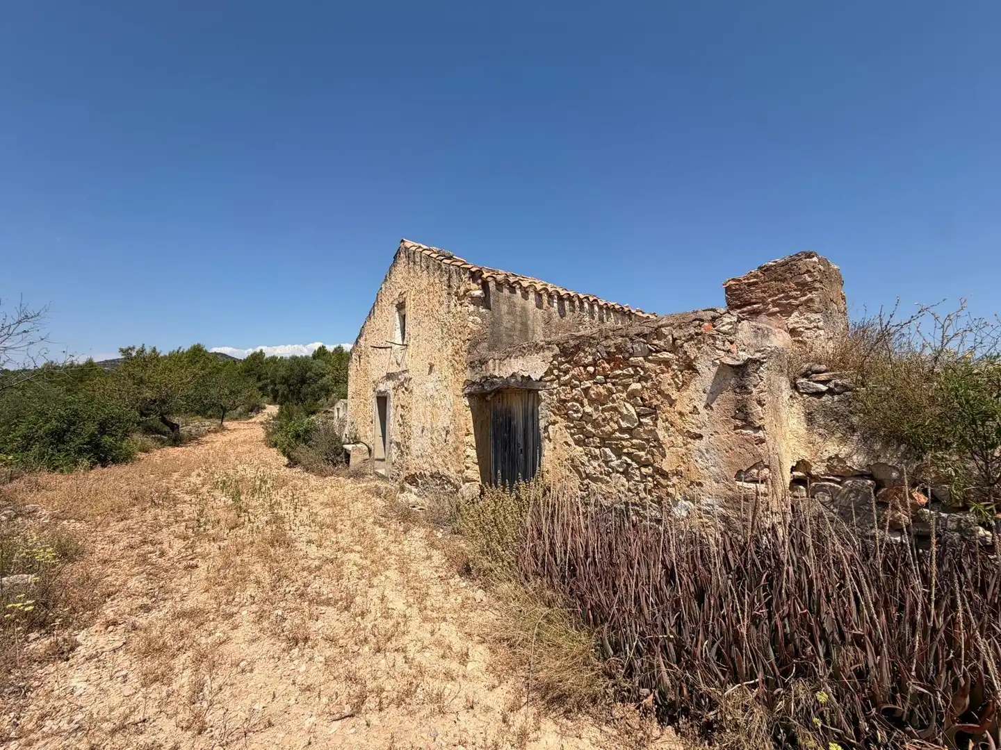 Terreny rústic en venda a Sierra Engarcerán, imagen 11
