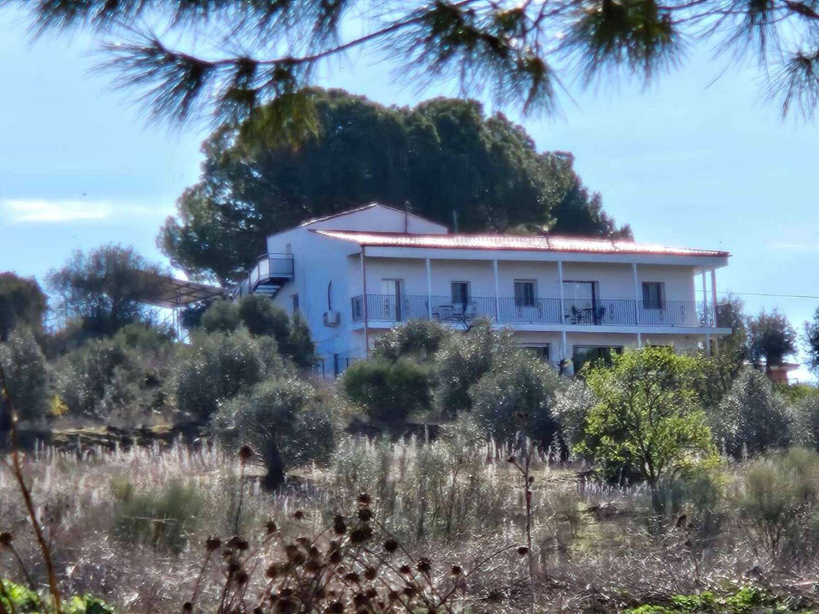 Vista exterior de Apartament per a compartir en Camarma de Esteruelas amb Terrassa