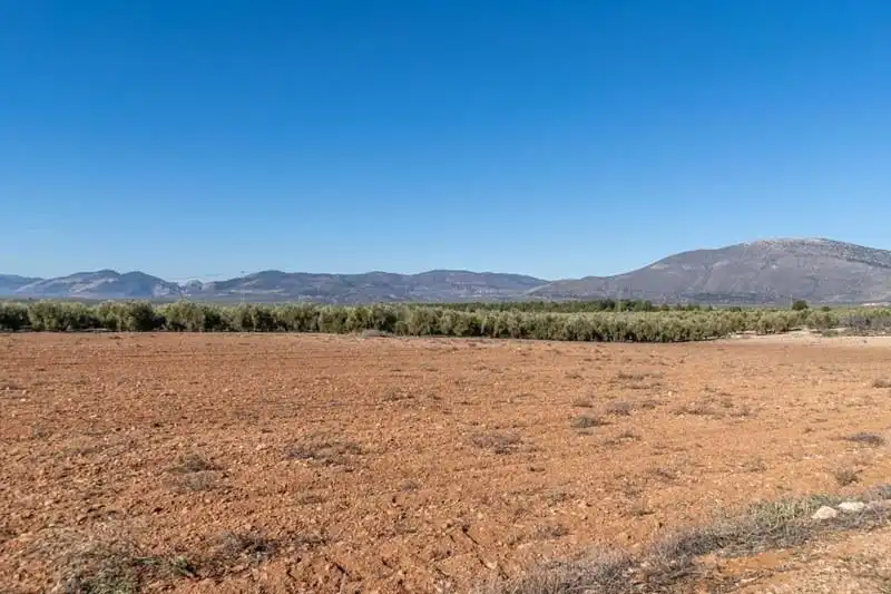 Casa rústica en venda a PAGO CORTIJO DE LAS MONJAS POLIGONO 1 PARCELA 193, imagen 35
