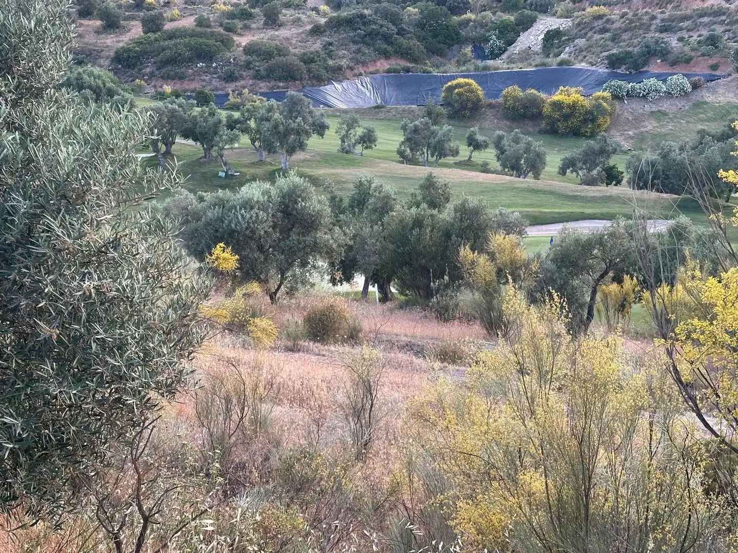 Terreni e lotti in vendita a Fuentemora