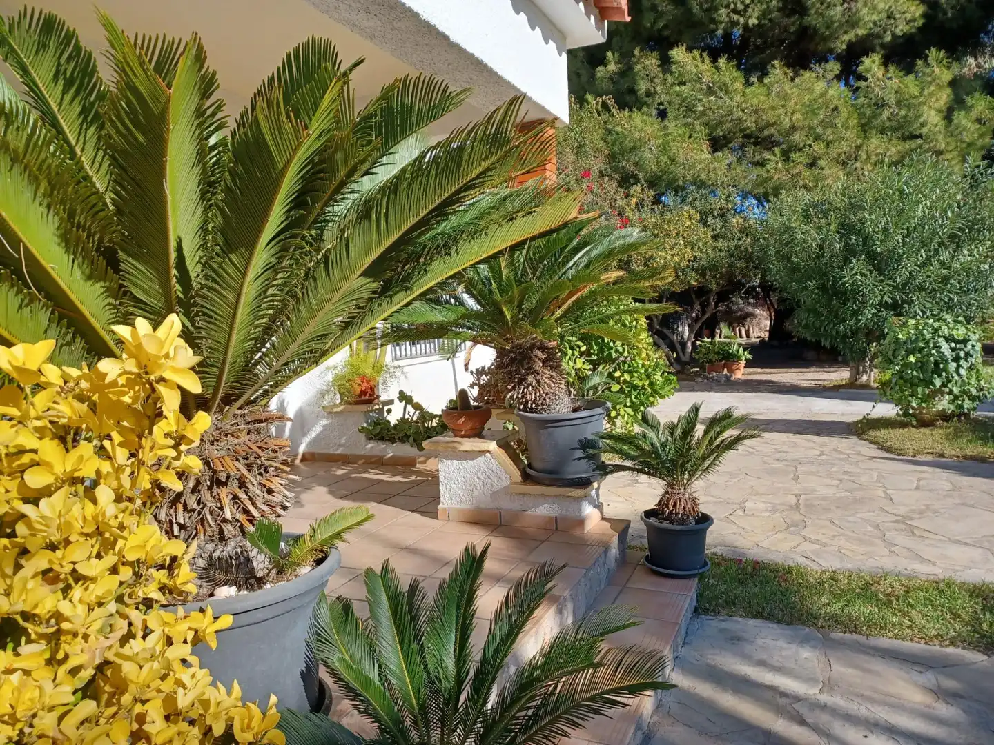 Jardí de Casa o xalet en venda en Cubelles amb Jardí privat
