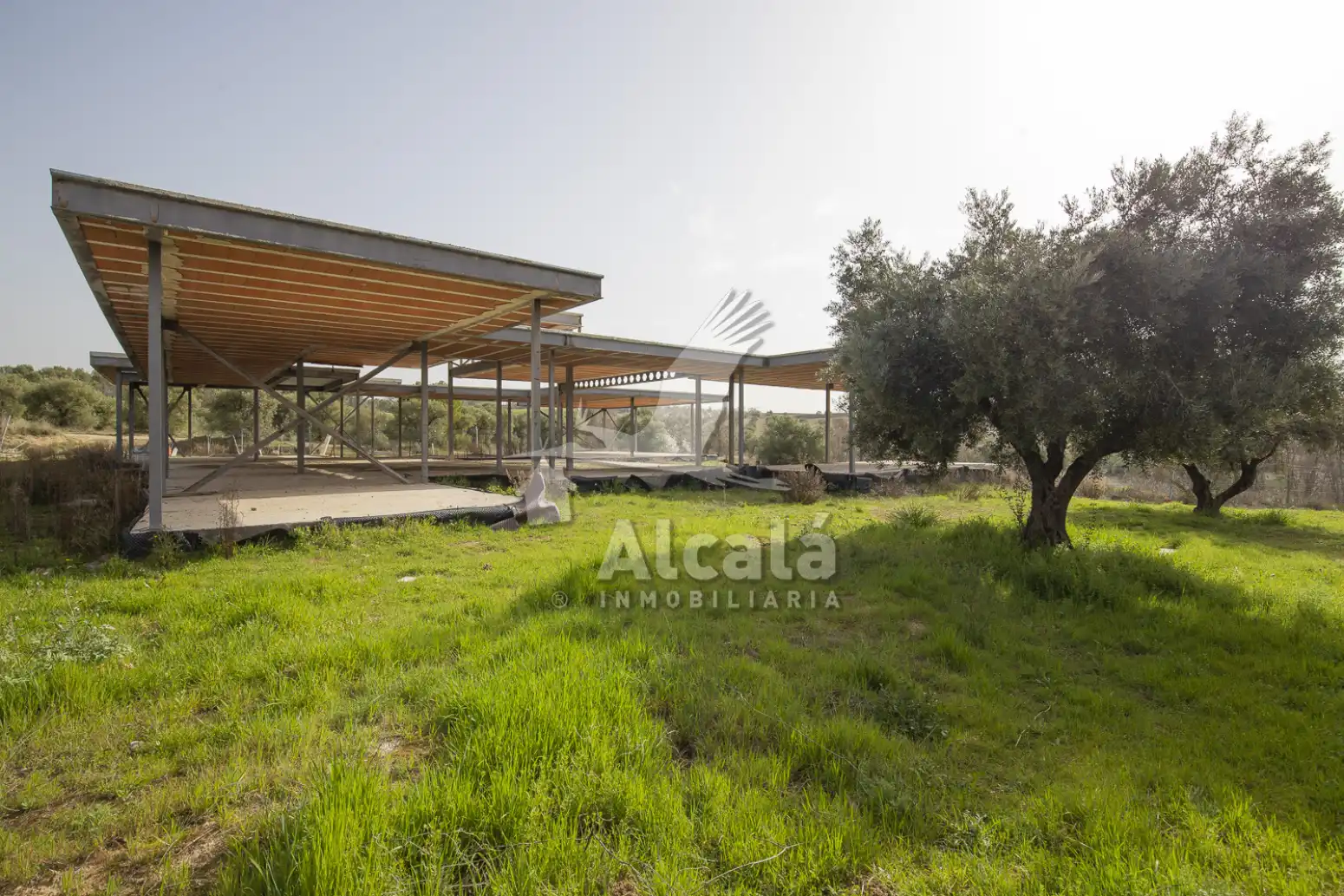 Terreny rústic en venda a Villalbilla pueblo, imagen 20