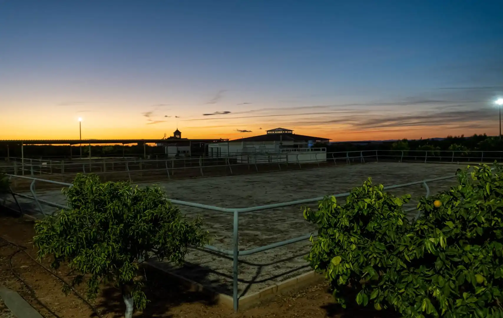 Vista exterior de Finca rústica en venta en Carmona con Calefacción, Jardín privado y Terraza