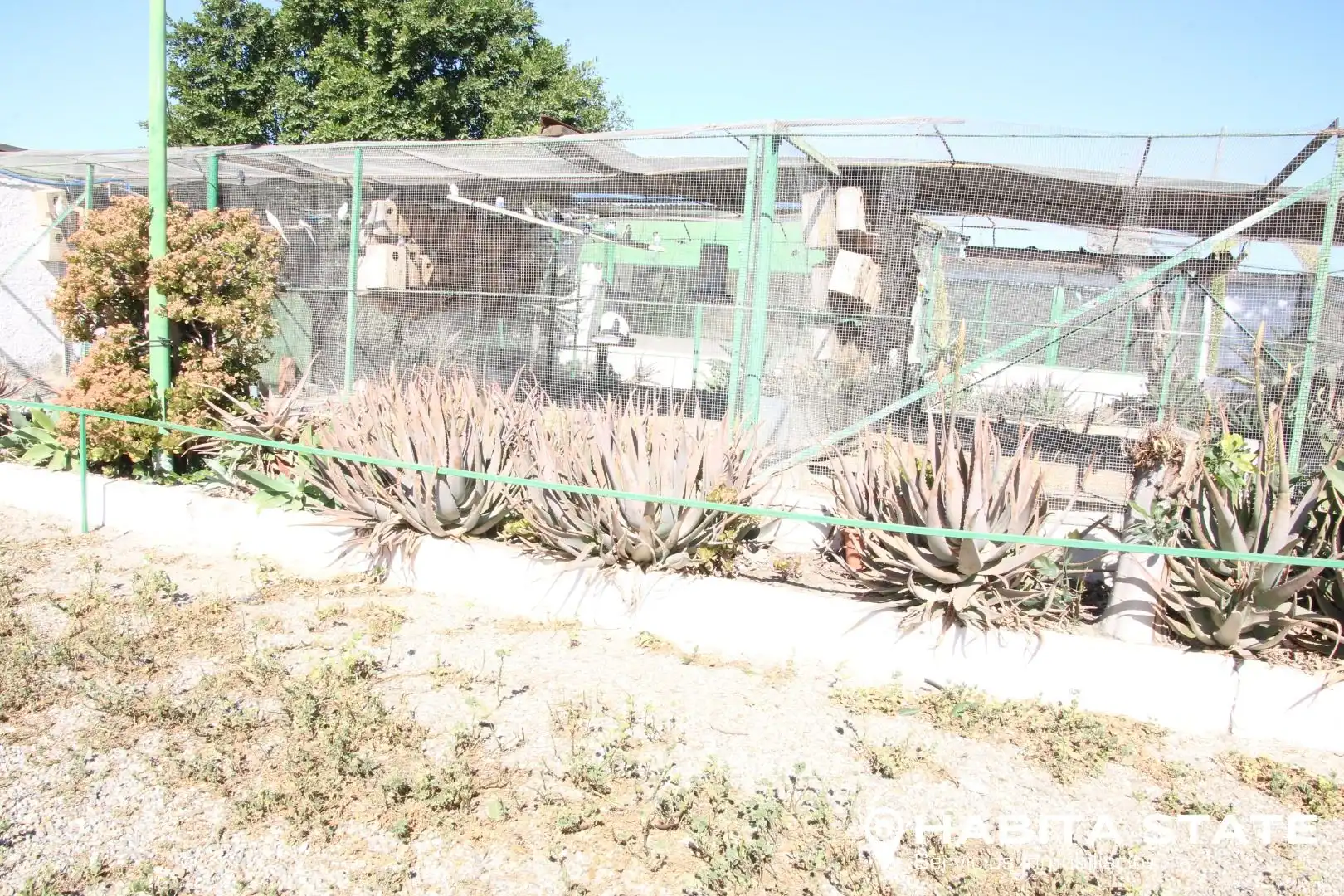 Garden of Residential for sale in Pechina
