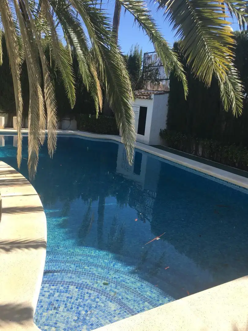 Piscina de Casa o xalet en venda en Rojales amb Jardí privat i Piscina