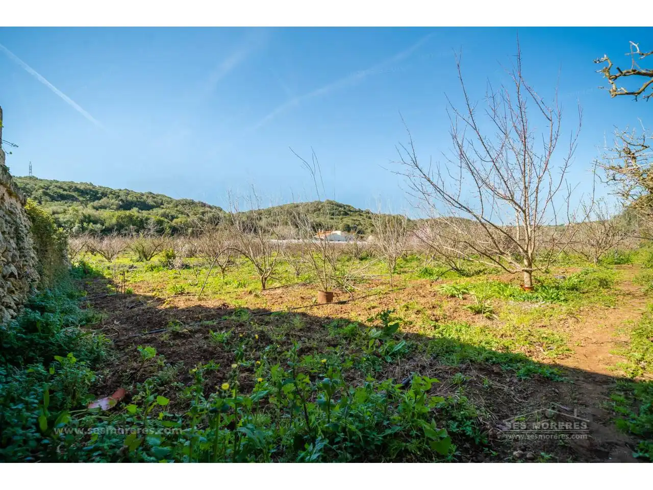 Terreno rustico in vendita a Alaior poble, imagen 17