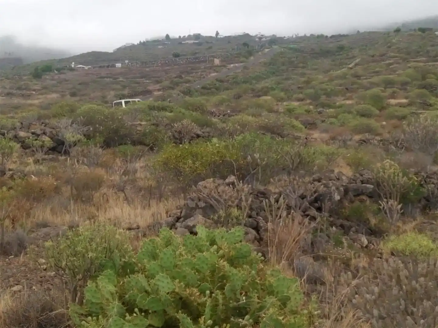 Finca rústica en venda en Guía de Isora interior