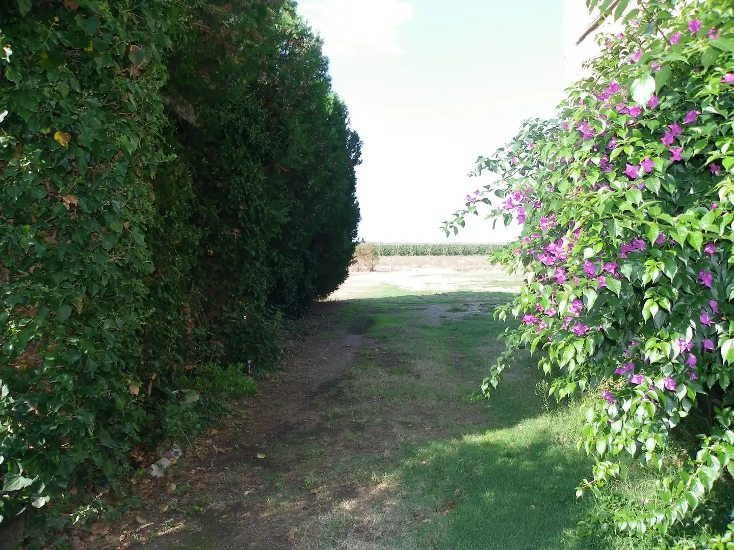 Casa o xalet en venda a Resclosa, Ullà