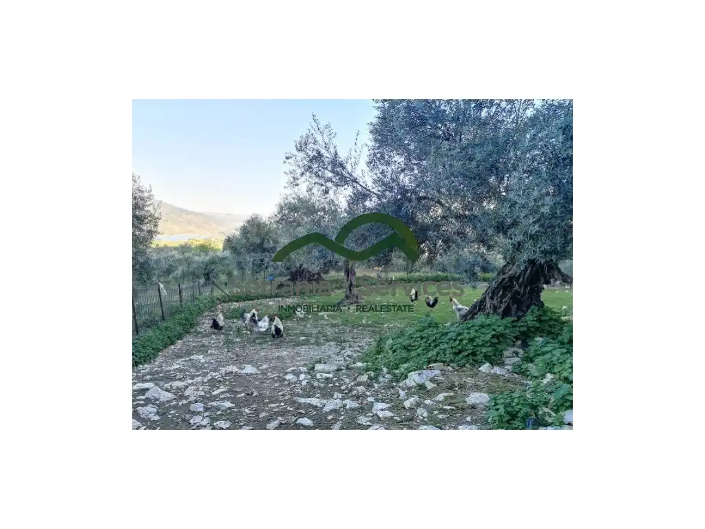 Casa rustica in vendita a Zahara, imagen 15