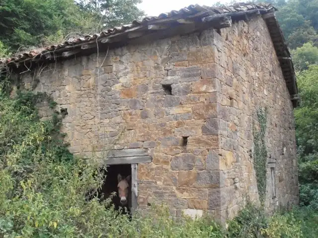 Maison rustique à vendre à Aldea Casares 11, imagen 17