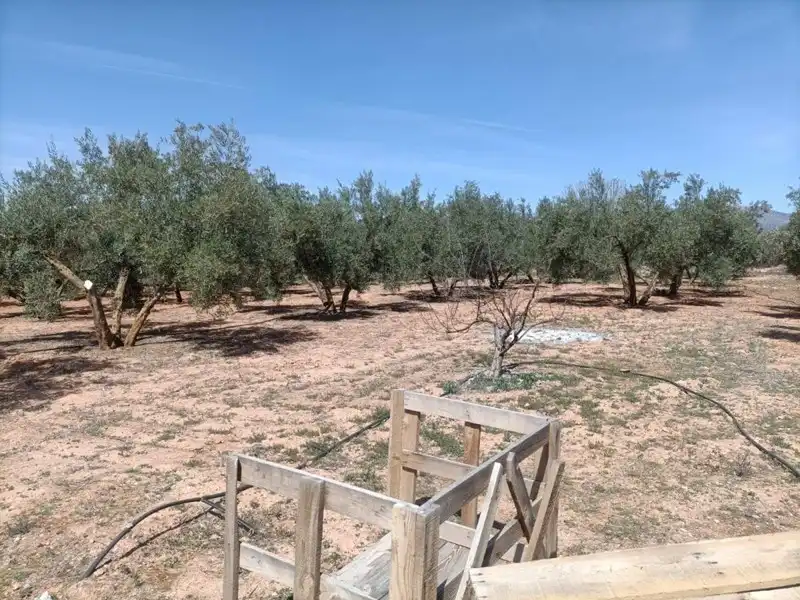 Terrenys i solars en venda a Albolote, imagen 10