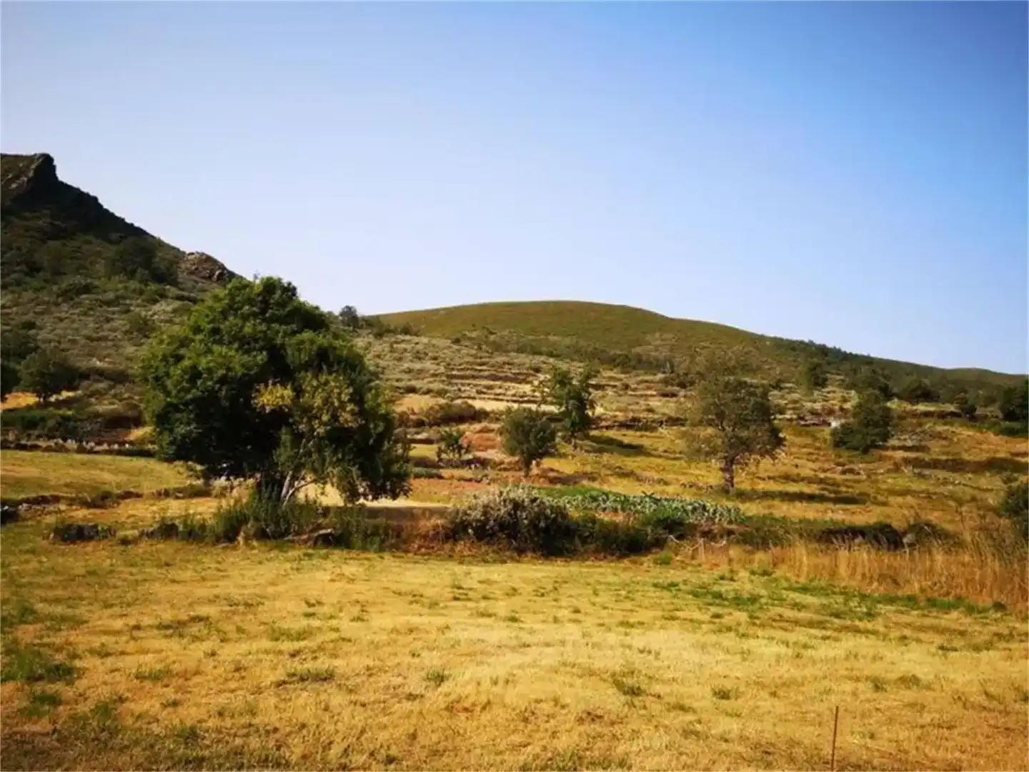 Land for sale in Vilariño de Conso, Ourense
