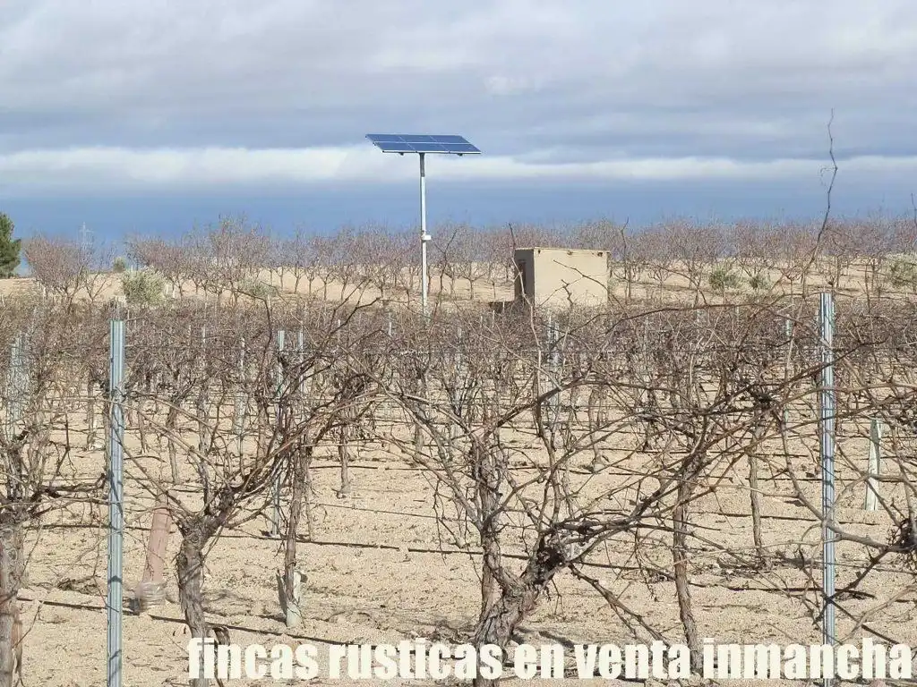 Vista exterior de Terreno en venta en Mora