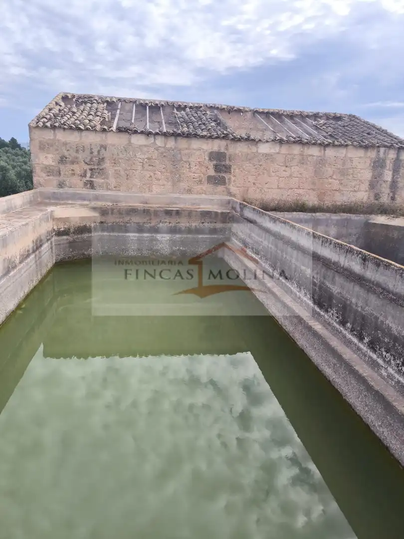 Terrenys i solars en venda a Sa Pobla, imagen 13
