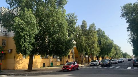 Foto 4 de Piso en venta en Avenida las Letanías, 5, La Oliva, Sevilla Capital