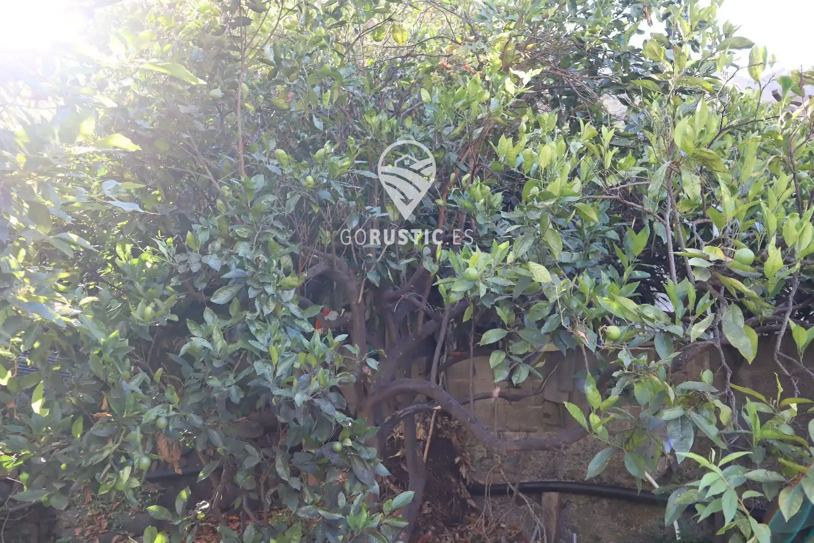 Terreno residencial en venta en Calle la Cerca, Hermigua, imagen 4
