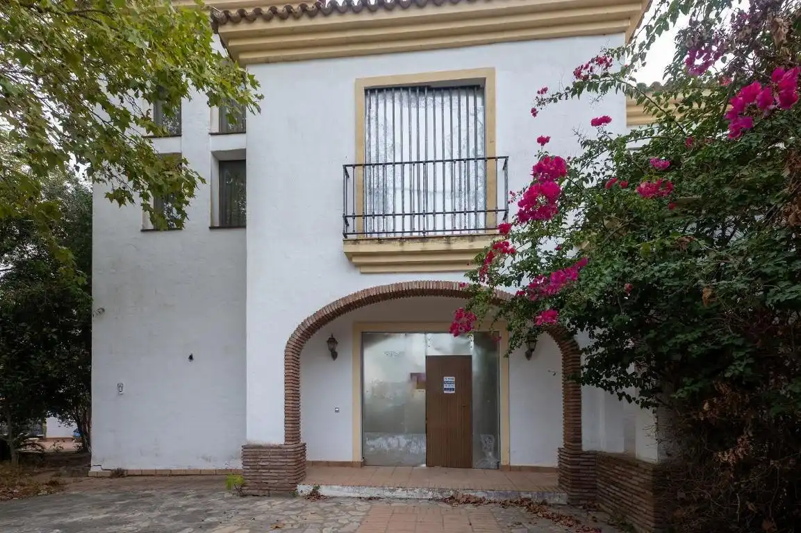 Vista exterior de Casa o chalet en venta en Benalup-Casas Viejas con Jardín privado, Trastero y Piscina