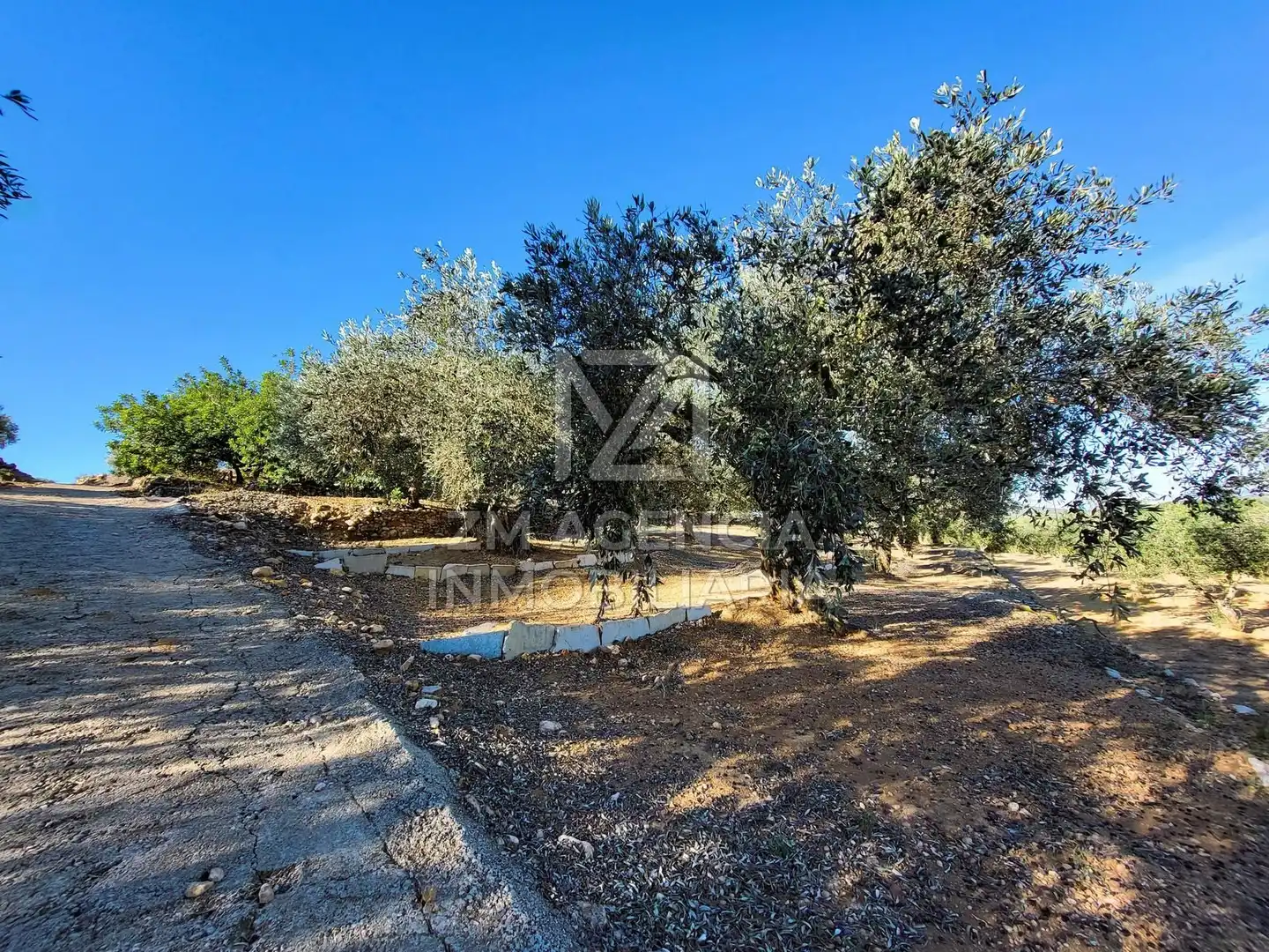 Casa rústica en venta en Traiguera, imagen 11