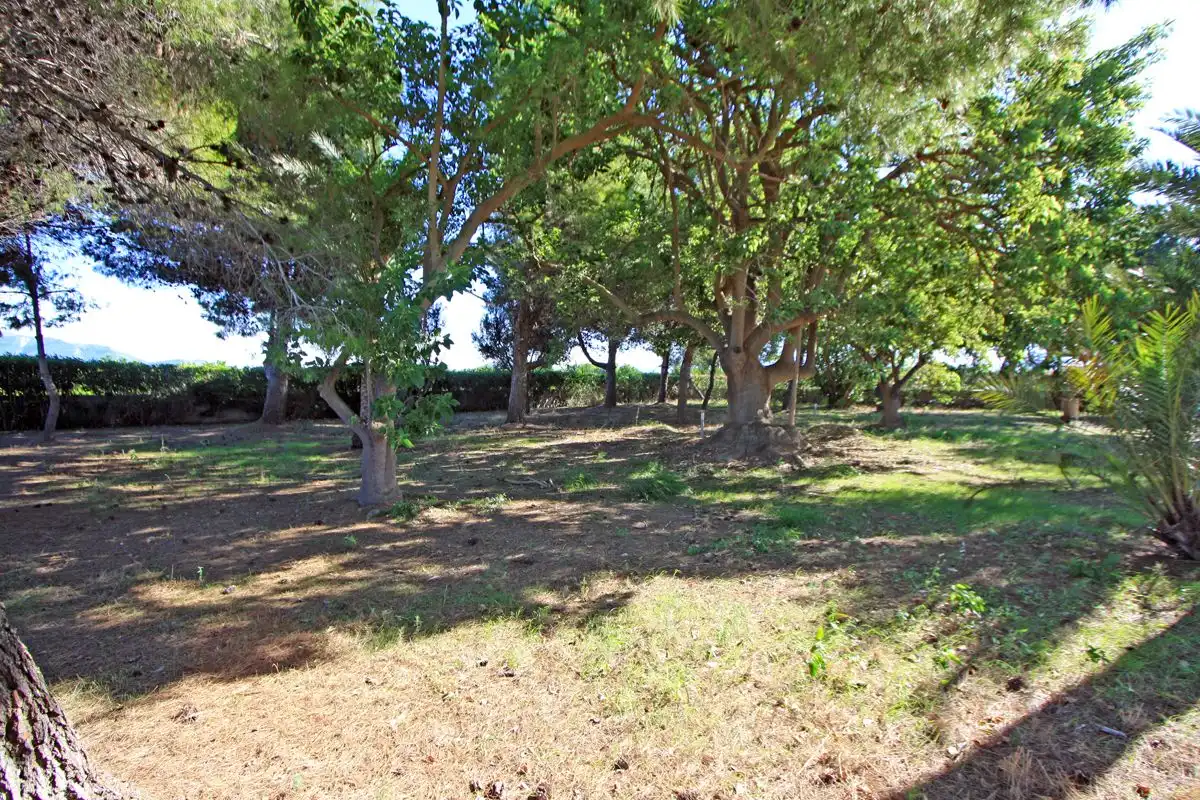 Maison avec jardin à vendre à El Verger, imagen 25