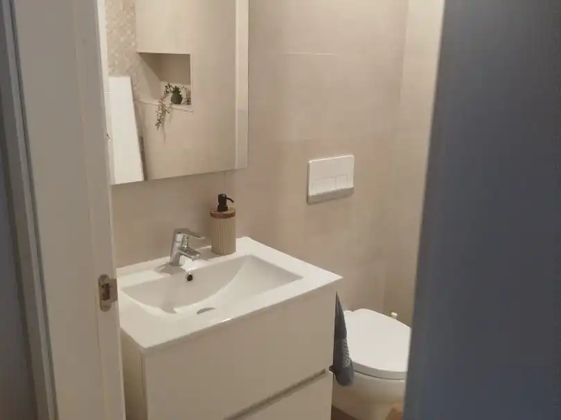 Bathroom of Flat for rent in San Pedro de Alcántara