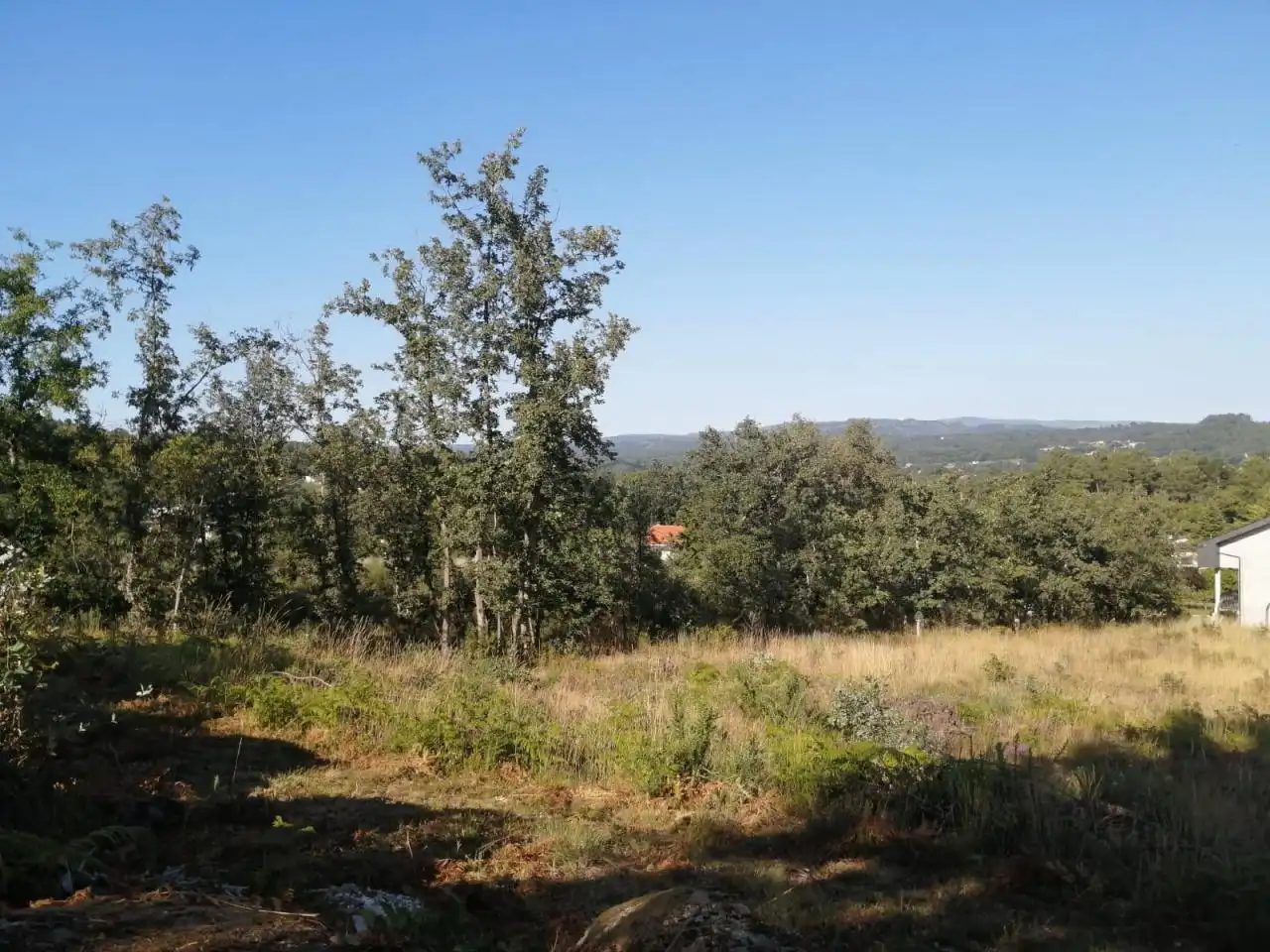 Residential land for sale in O Pereiro de Aguiar, imagen 2