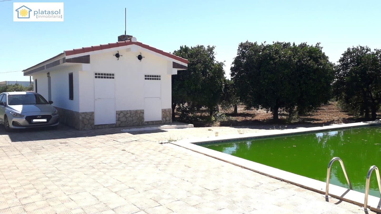 Schwimmbecken von Country house zum verkauf in La Algaba mit Privatgarten, Terrasse und Schwimmbad