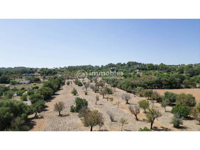 Terreno en Venta en Campanet