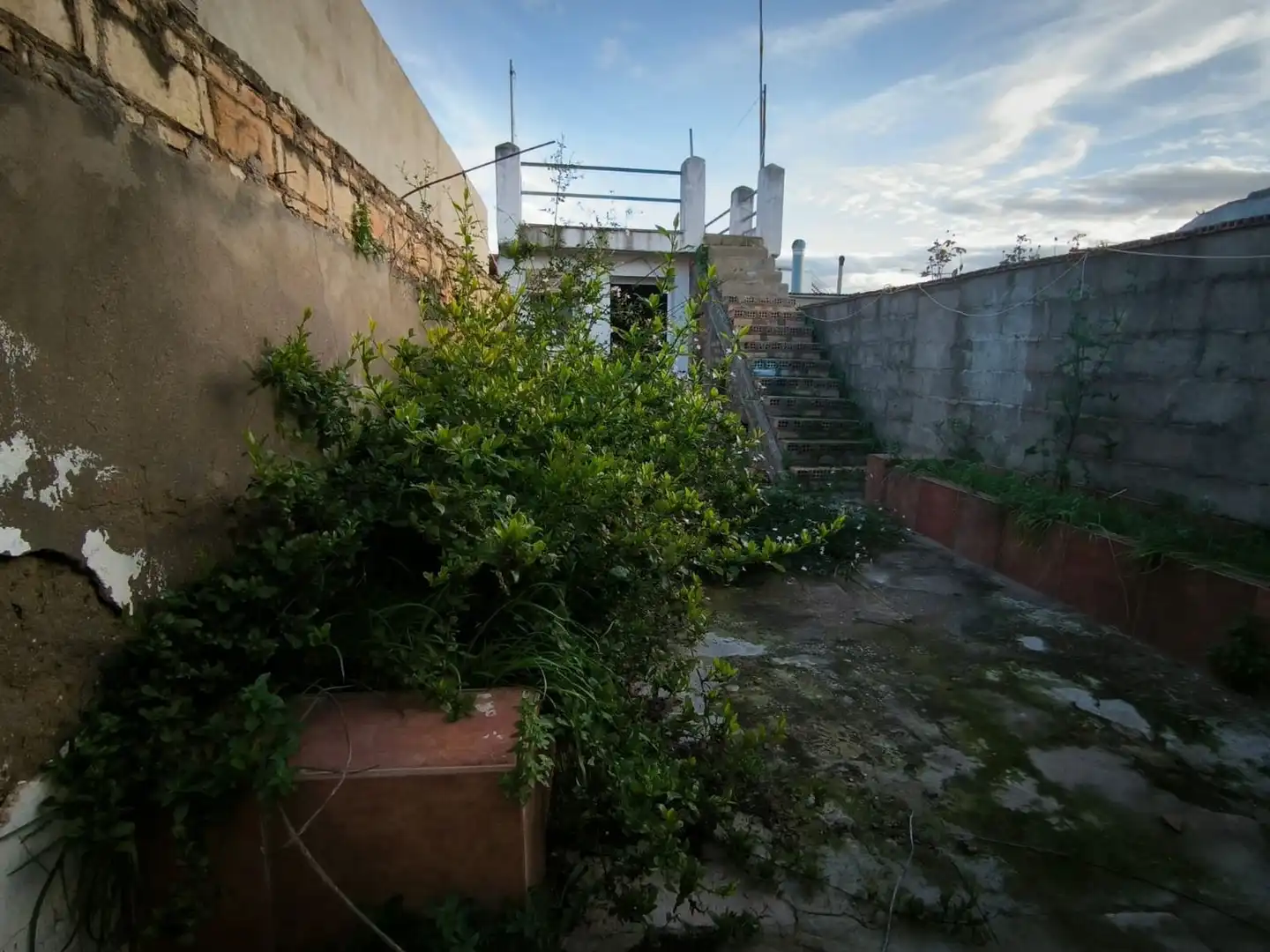 Jardí de Casa adosada en venda en Alcolea del Río